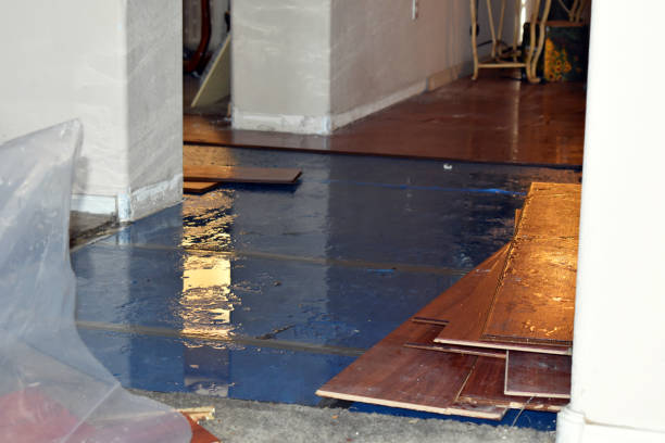 Professional Crawl Space Water Removal technician working in McQueeney, TX